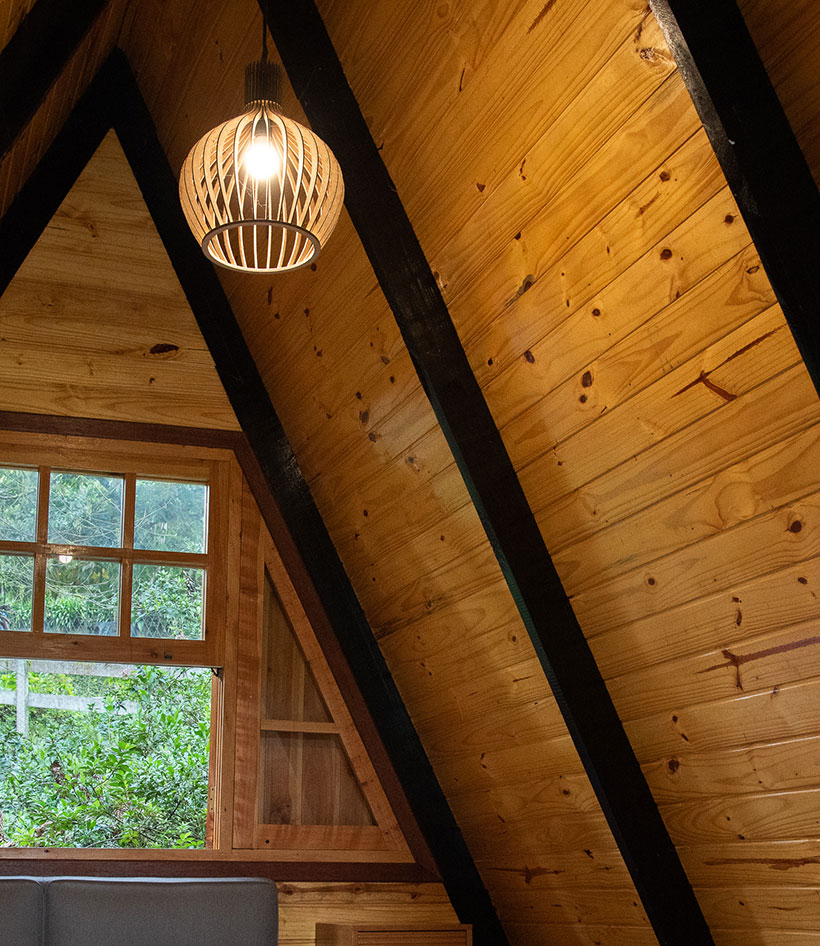 wood interior ceiling custom home victoria bc vaulted roof design